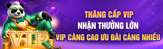 ưu đãi h19